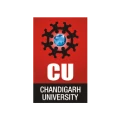 Chandigarh university icon